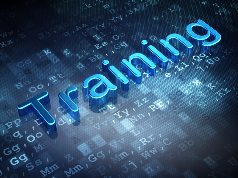 Workforce Training Programs are Transforming Businesses