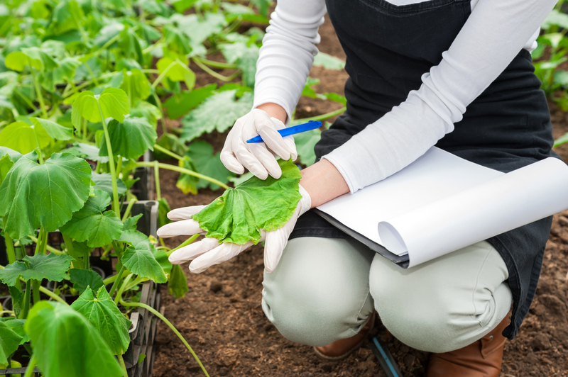 Food and Agriculture Food and Agriculture