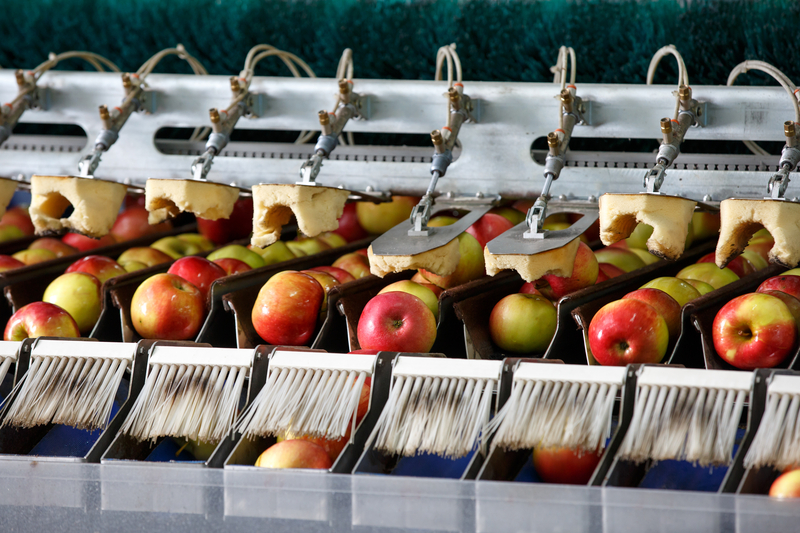 Food and Agriculture Food and Agriculture