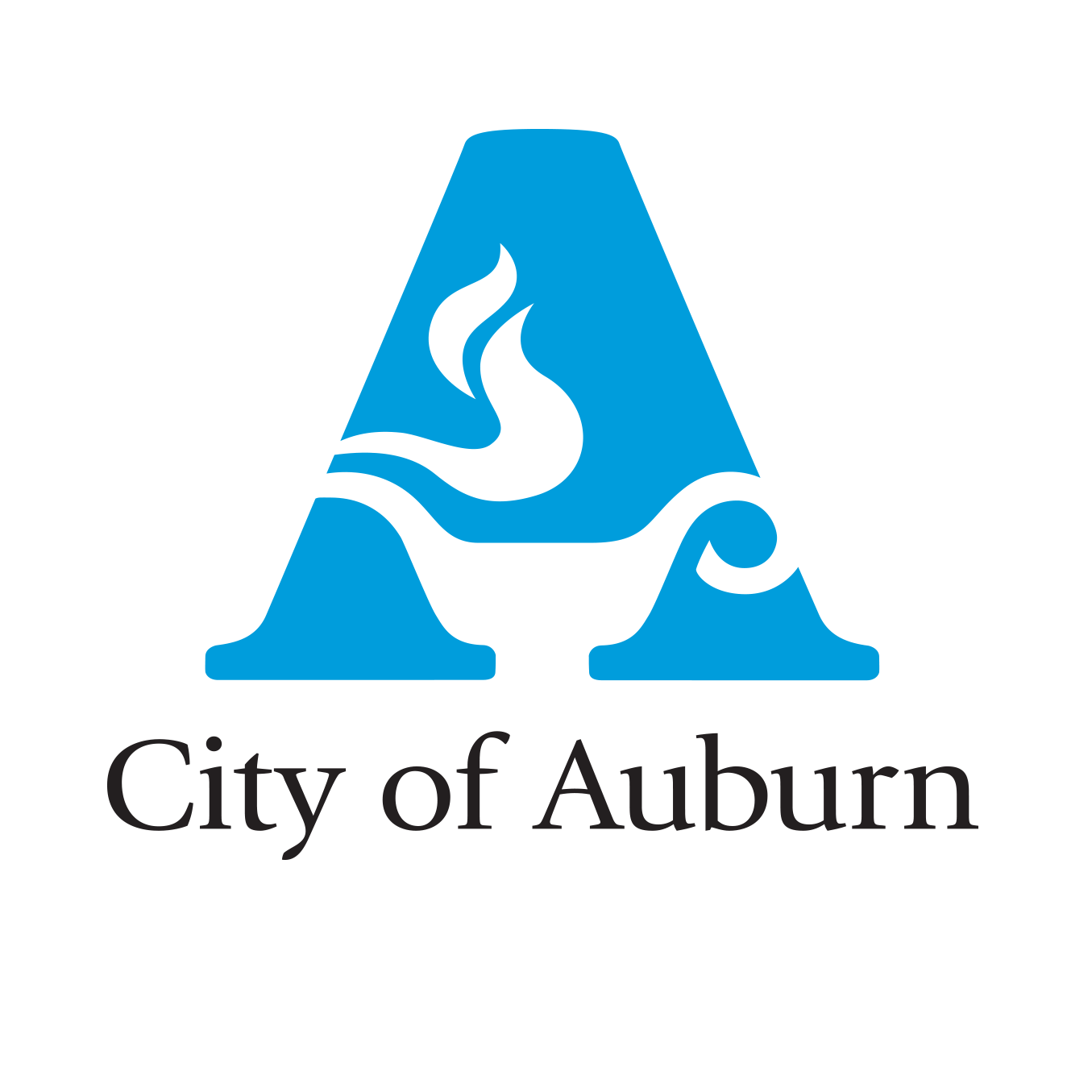 City of Auburn Economic Development