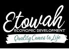 Etowah County Economic Development