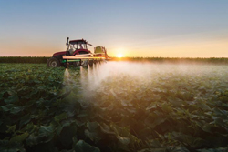 Strategies for Food Tech Companies in Their Manufacturing Footprint