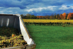 Keeping the Nation Fed: Supporting the American Food Supply Chain