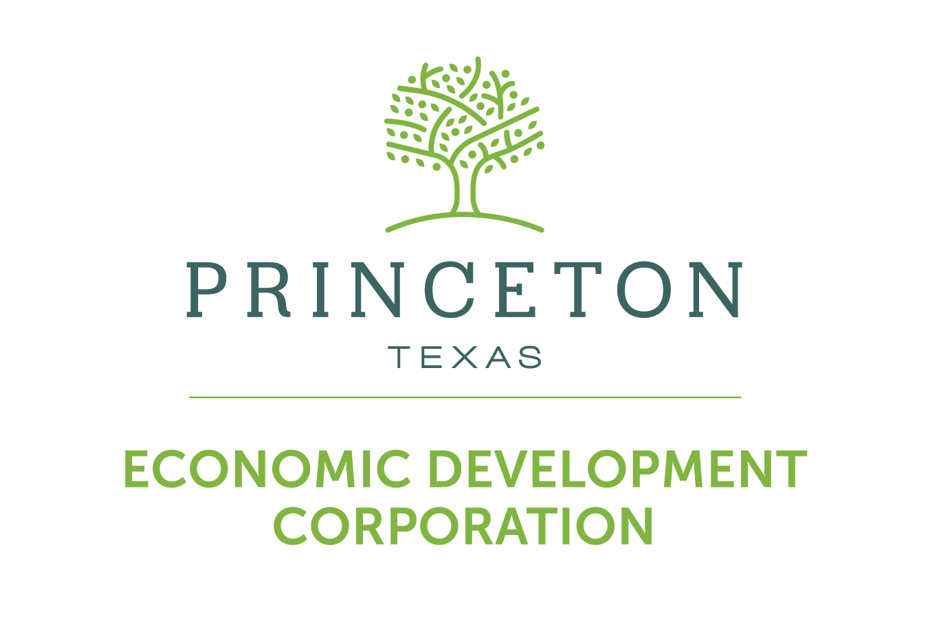Princeton Economic Development