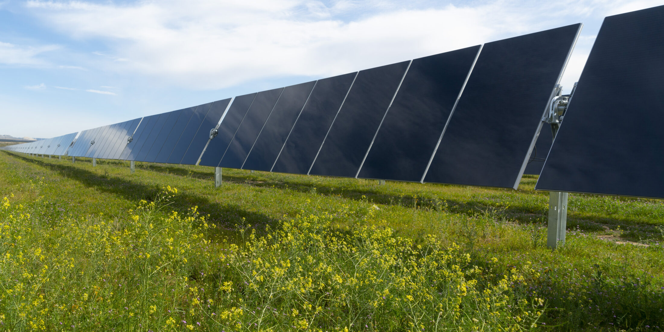 solar solar