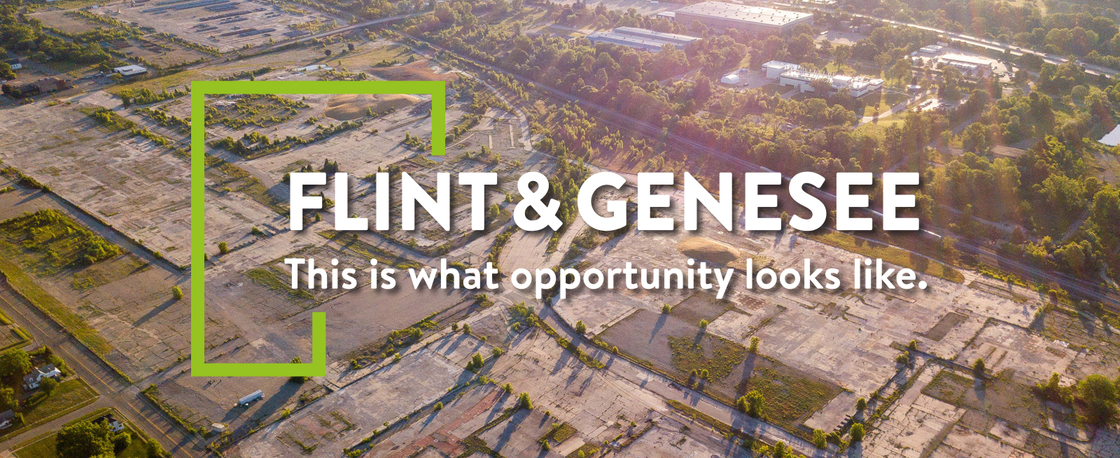 Flint & Genesee Economic Alliance