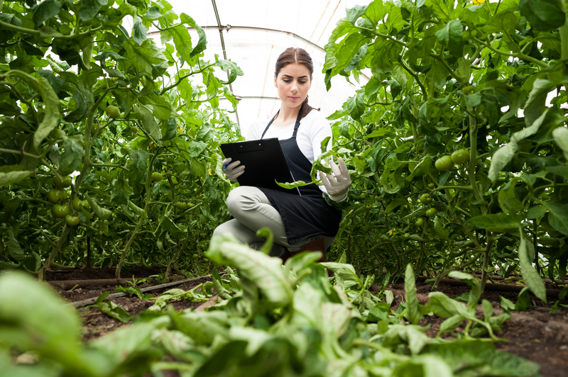 agriculture