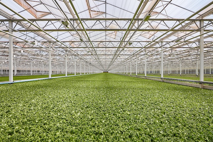 agriculture agriculture