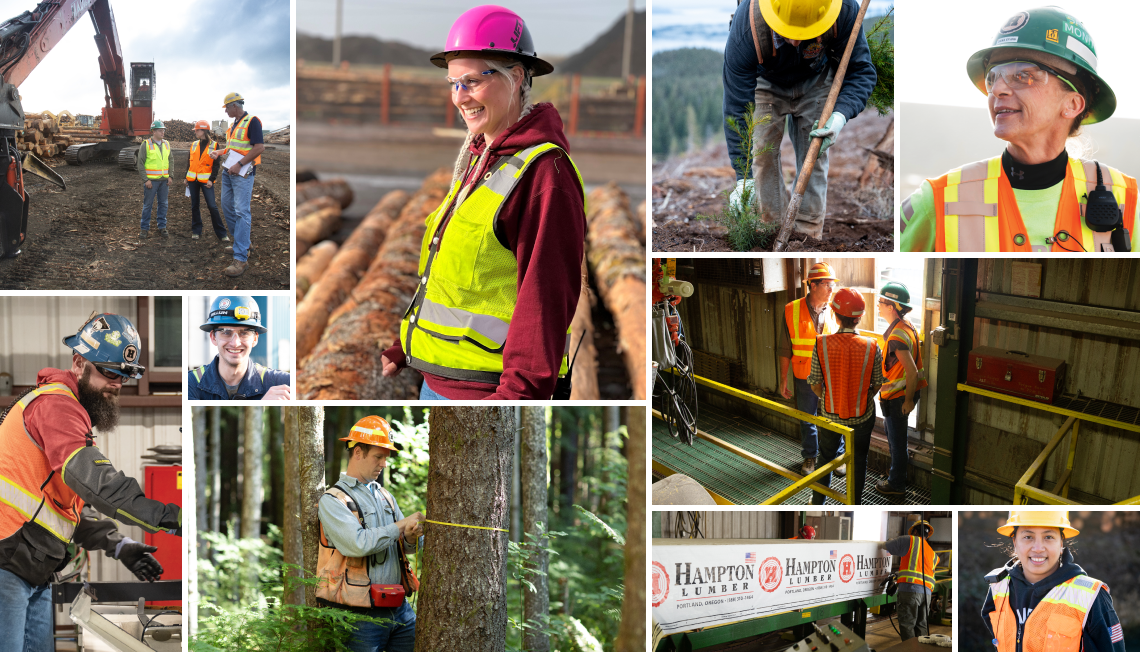 lumber lumber