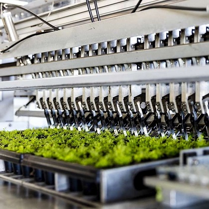 Indoor Smart Farming