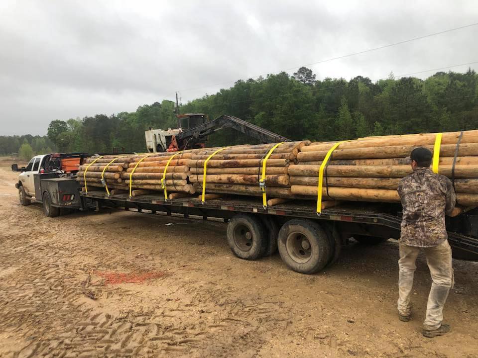 timber