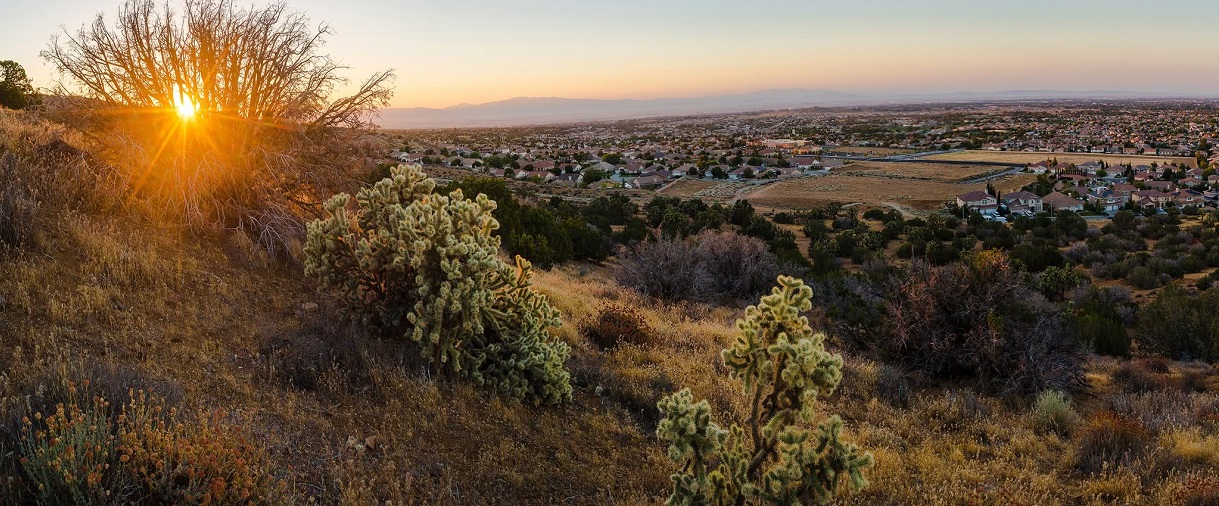 City of Palmdale