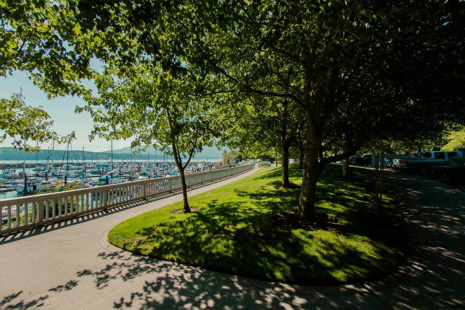 Shaded tree-lined walkway alongside a marina filled with sailboats under a clear blue sky.