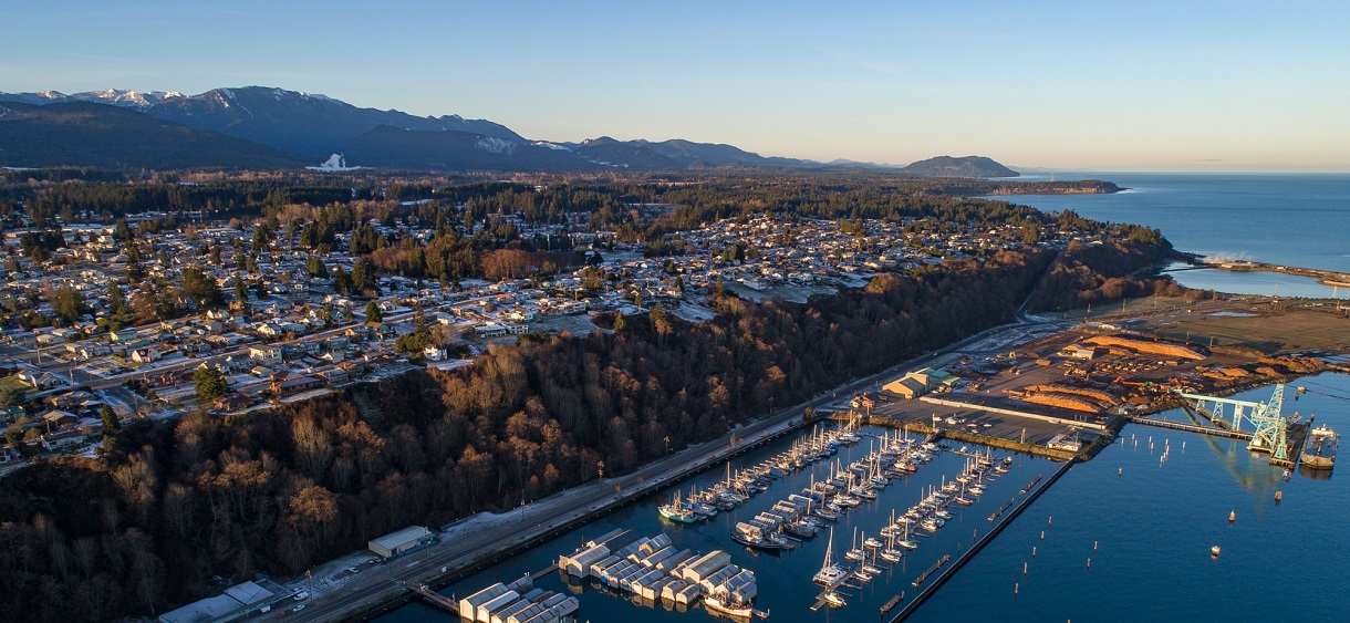 Aerial view of a coastal town with a marina, forested area, residential neighborhood, mountains, and calm ocean under clear sky.