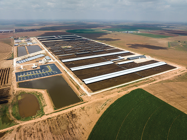 The Del Rio Dairy RNG facility located in Friona, Texas, captures waste from more than 7,500 dairy cows and has a production capacity of delivering approximately 250,000 Mcf of RNG annually to Atmos Energy’s distribution system. Photo provided by Atmos Energy