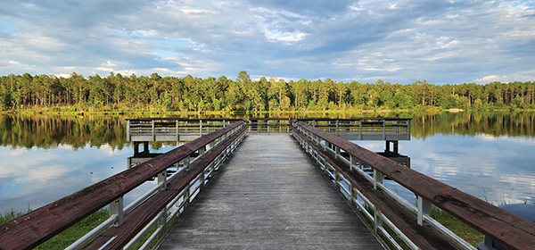 Treutlen County, Georgia