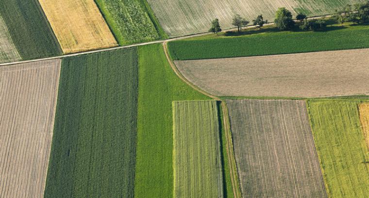 KS: Agribusiness Bartlett To Create New Soybean Facility, With 50 Jobs