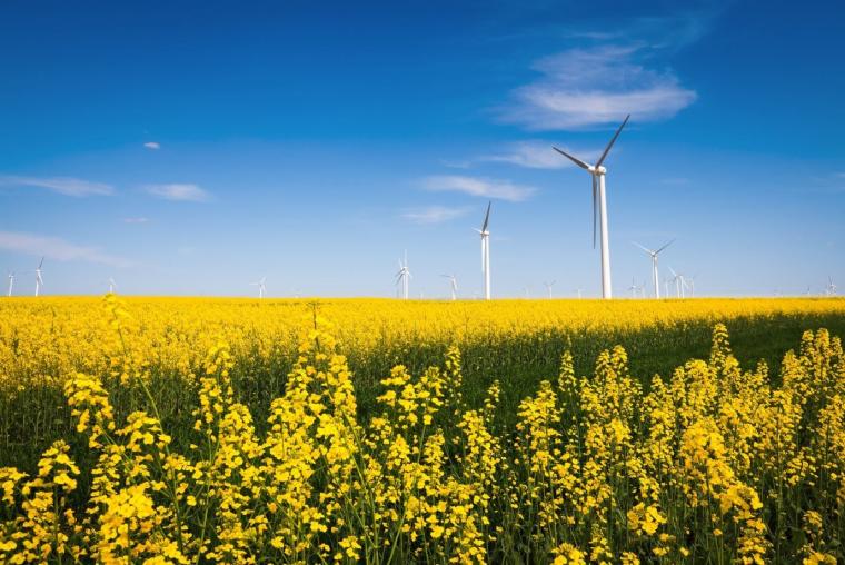 TX: Meijer Invests in Wind Energy, Looks to 50 Percent Reduction of Absolute Carbon Emissions by 2025