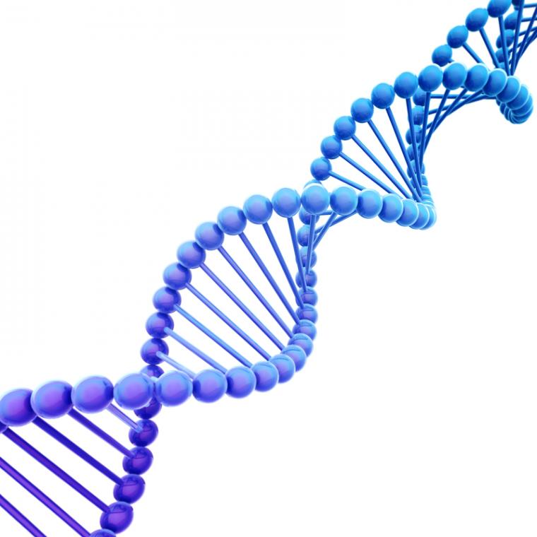 UT: Canyons Labs Partners with BioUtah to Advance Life Sciences Sector in the State