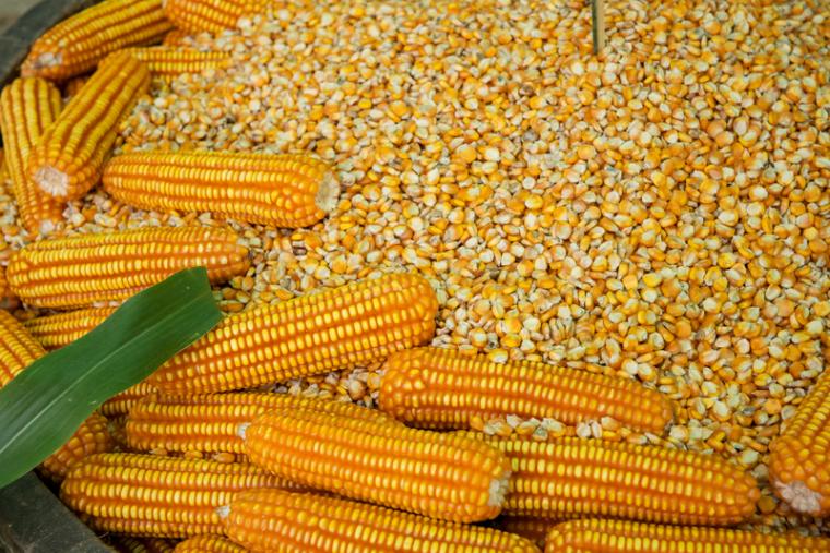 KS: Flagship Food Group to Expand Hispanic Foods Mfg. Facility in Moundridge, Creating Dozens of Jobs