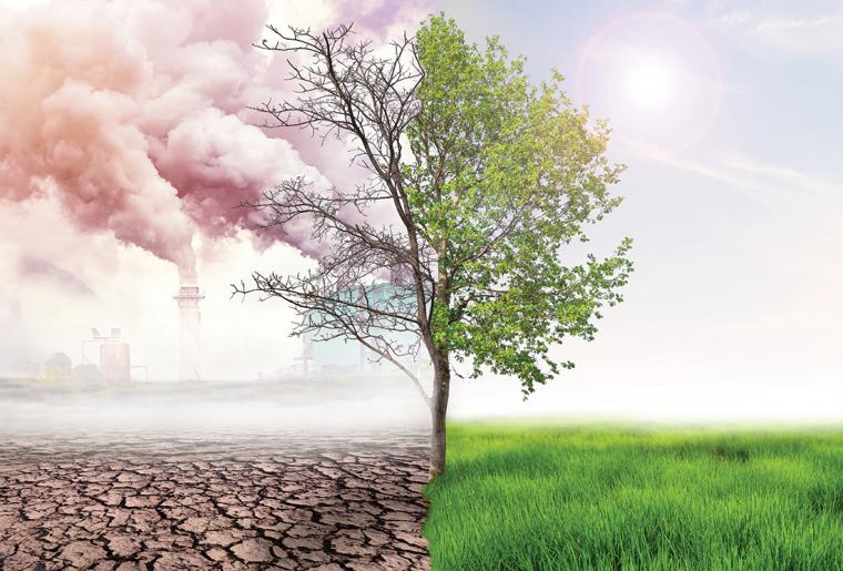 Decarbonization and Technology Site Selection