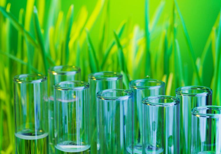 SC: Vertical Farm Company Hardee Greens to Establish Operations in Jasper Co., Creating 58 New Jobs