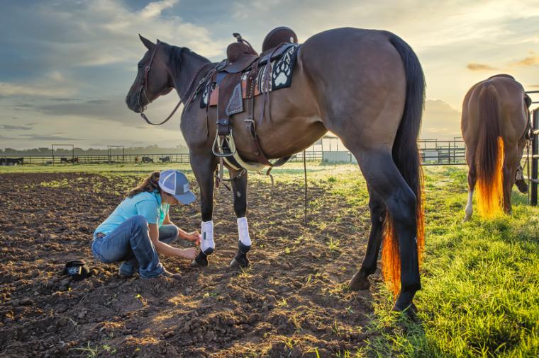 OK: Equine Product Maker Professional's Choice Relocates HQ to OKC, to Add 20+ Employees