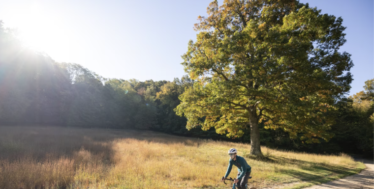 NY: Outdoor Retailer REI Co-Op to Open Store in Huntington Station, With 60 Employees