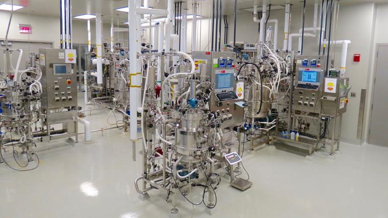 NC: Bezos Earth Fund Awards Grant to NC State for New Biomanufacturing Hub for Sustainable Proteins