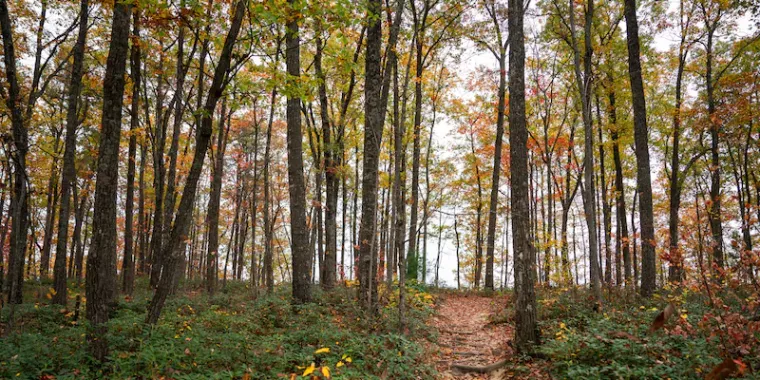 KY: Outdoor Retailer REI to Open First Kentucky Store in Louisville, With 50 Jobs