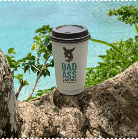 Bad Ass Coffee of Hawaii Sets the Stage for Explosive Growth in 2025, With 23 Store Openings Planned