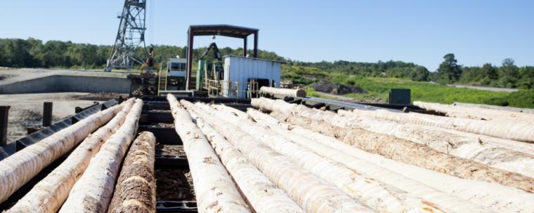 AL: Jasper Lumber Investing $135 Million to Become State-of-the-Art Sawmill Facility