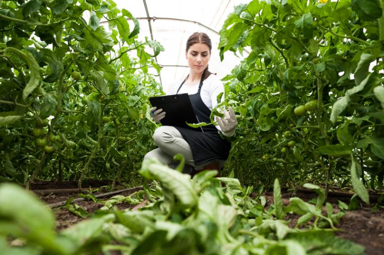 NJ: NJEDA Board Approves New $5 Million Cannabis Business Development Grant Program