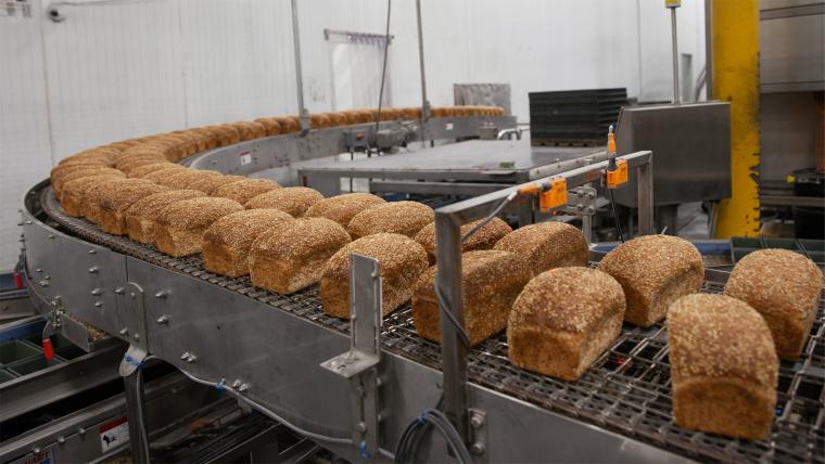TN: Vibrant Health Products to Establish First U.S. Manufacturing in Rossville, With 394 Jobs