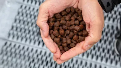 KY: Alltech To Expand in Nicholasville With Nearly $4.6 Million Investment, Creating New Manufacturing Jobs