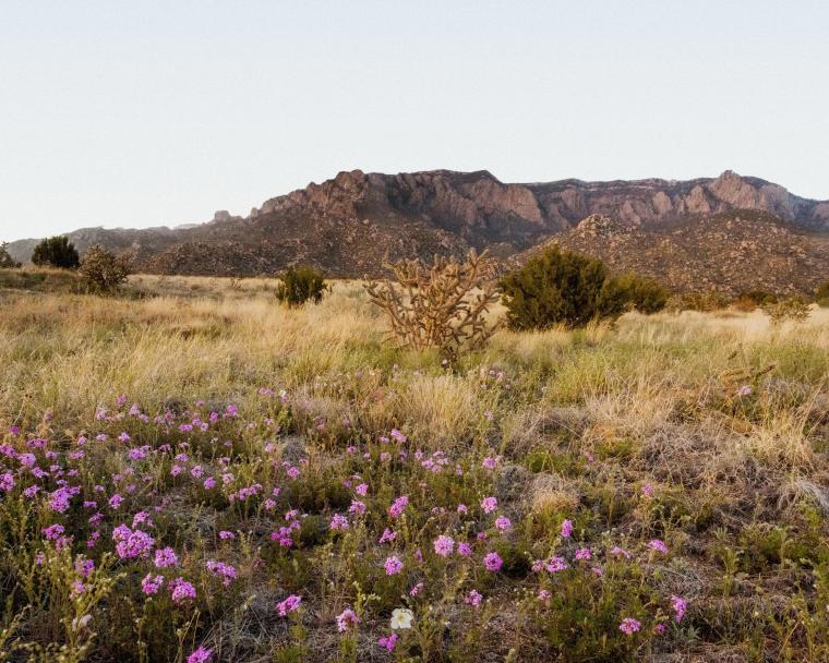 NM: Pacific Fusion Selects New Mexico For Its First Research, Manufacturing Campus, With 200 Jobs