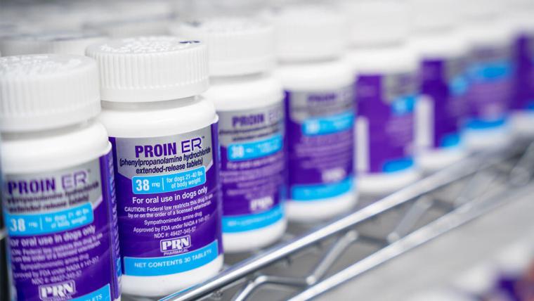 FL: Pegasus Laboratories Expands Veterinary Pharmaceutical Facility in Pensacola, Creating 70 Jobs
