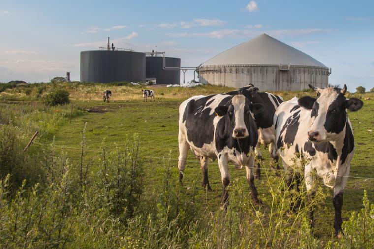 WA: Sustainable Dairy Digester Programs Receive $13.8 Million Commerce Investment