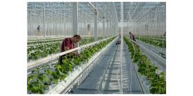 agriculture