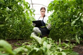 agriculture
