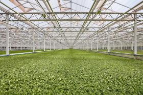 agriculture