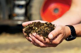 Washington is finding ways to transform the nearly 60 percent  of the tree that remains after it is processed into lumber. 