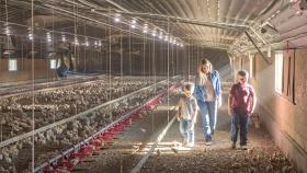 A woman and two children walking through a chicken farm.