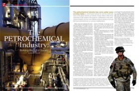The Petrochemical Industry