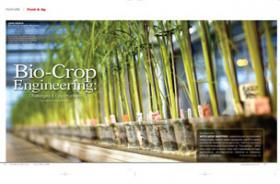 Bio-Crop Engineering: Challenges & Opportunities