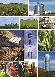 Where the Climate is Ripe for Food & Ag Production Centers to Grow