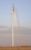 Cost, Price Stability Fueling U.S. “Wind Rush”