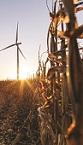 America's Boardrooms Buy Wind Power