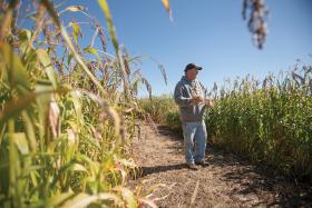 Communities Where Businesses Flourish with the Fruits of the Land