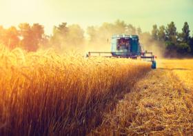 Global Problems, Global Solutions  for Agriculture and Bioengineering